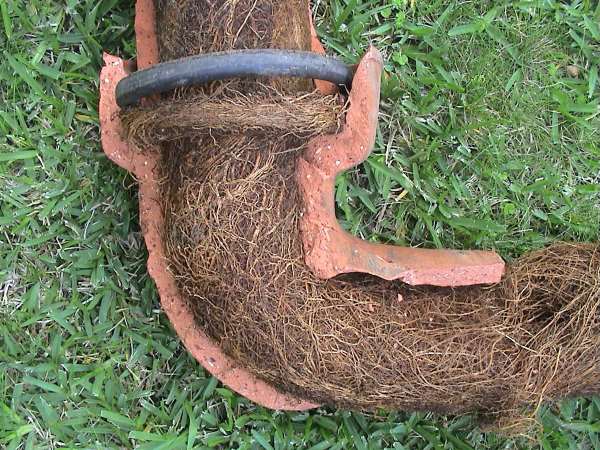 Root damage in drain pipe