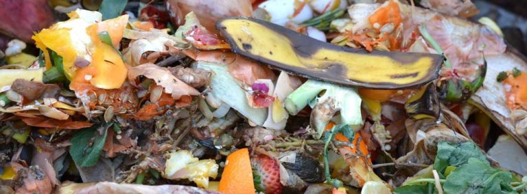 Food waste ready to be bokashi composted
