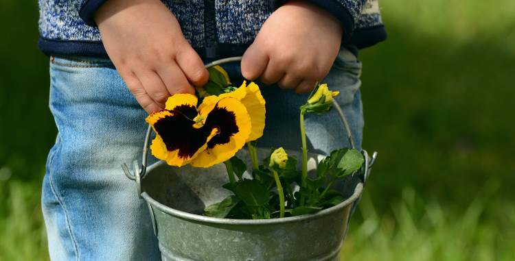 5 educational benefits of school gardens