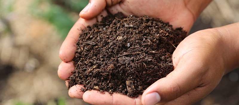 Home compost from bokashi composted food waste