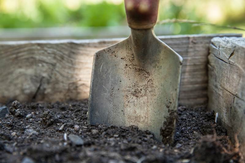 spade in soil