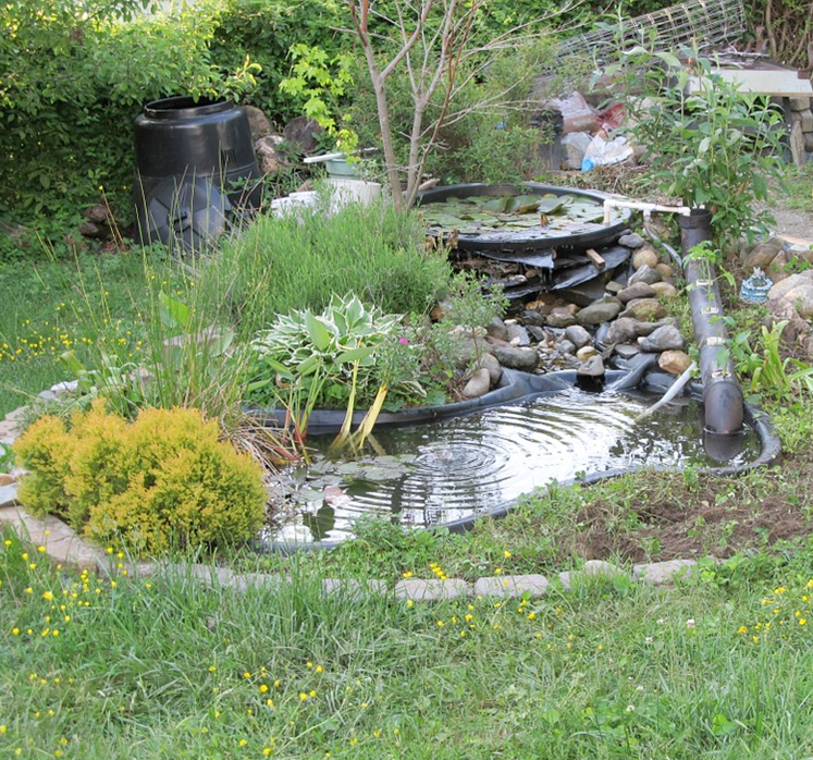 Top 3 benefits of adding a pond to your garden